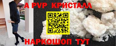 СК Сланцы