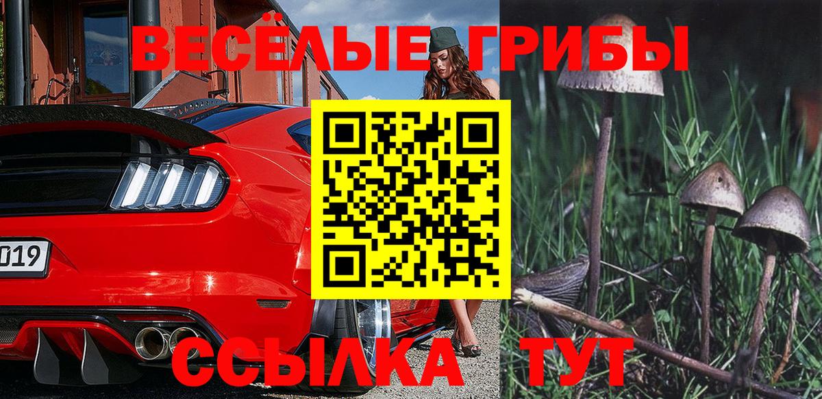 Осинники  Псилоцибиновые грибы мицелий  Вход с VPN 
